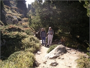 Walter 08.07.08-02.01.200976